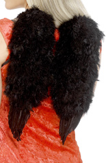 Black feather angel wings